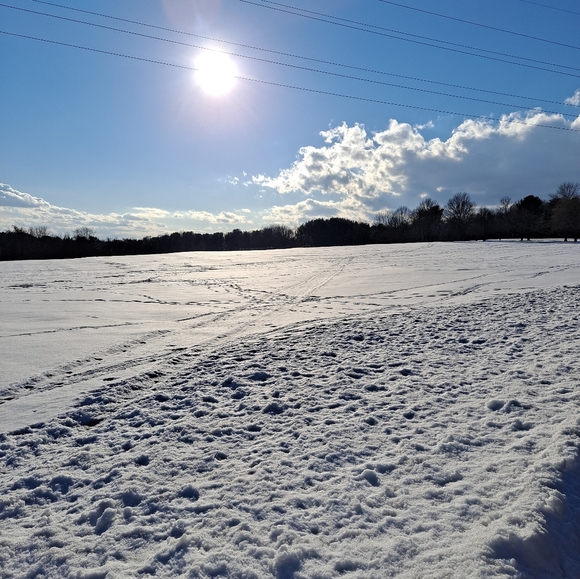 🍂🍃 Mărceanna's Closet 🍃🍂! posh ambassador ! - Picture 2 of 4